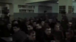 Петух на зоне, опущенный