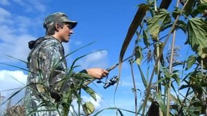 Ловля голавля на перетяжку (Тюкалка)