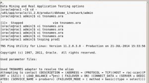 oracle RAC load balance server side