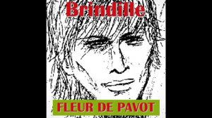 Fleur de Pavot - Brindille