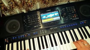 Егіз Лебіз Yamaha Psr sx900