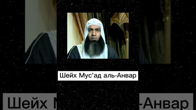 Учёные которые предостерегали от заблуждение Раби'аль-Мадхали и его последователей