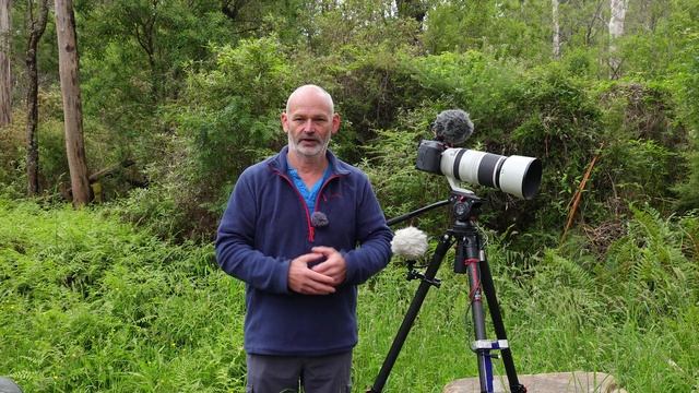 Canon R5c for professional Wildlife filming .Tips & review