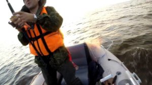 Ловля судака I Тролинг или просто Дорожка I Евгений М