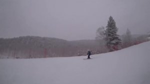 Новогодние приключения Шурика