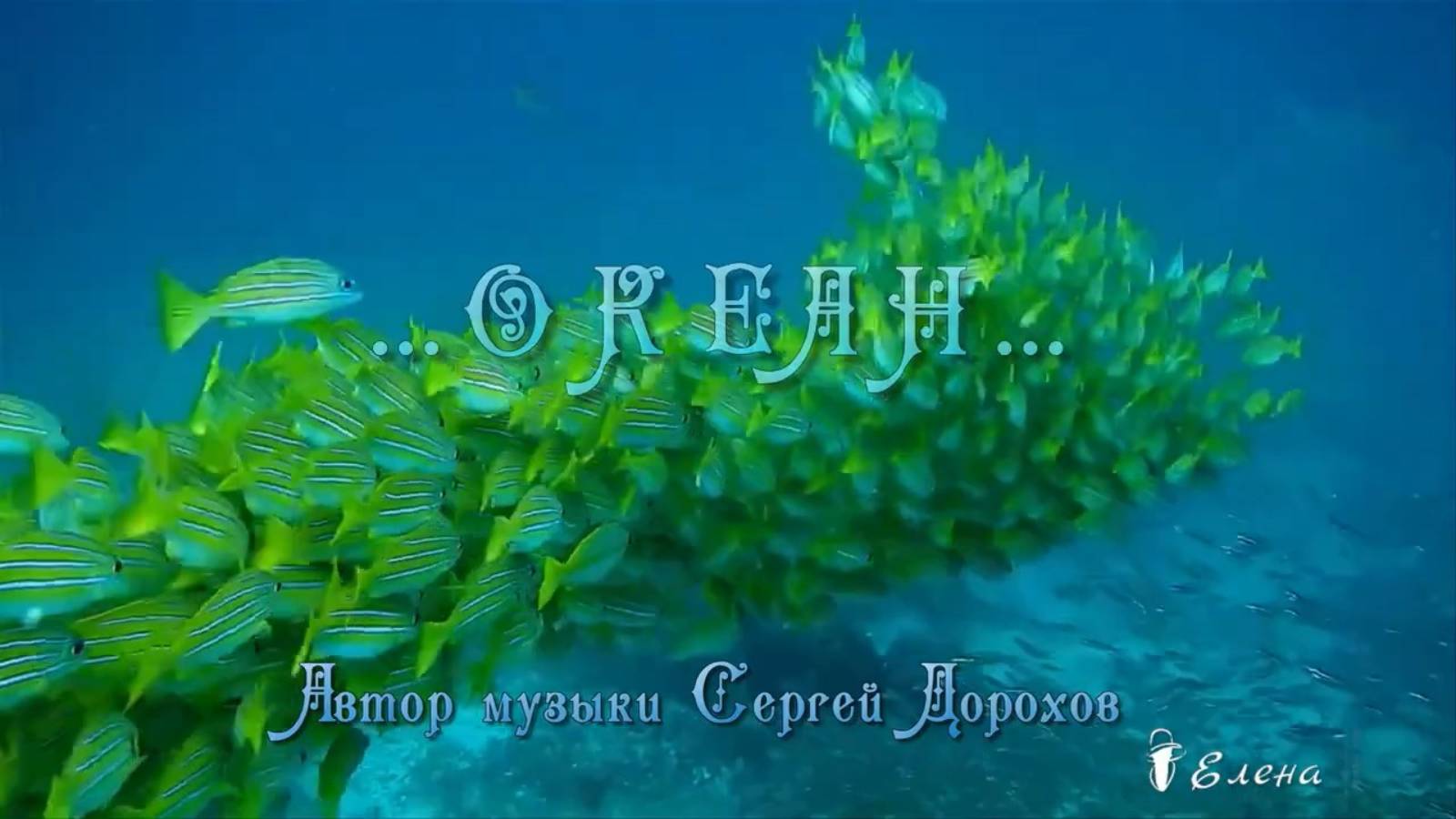 Ocean ... Автор музыки Сергей Дорохов Прибой