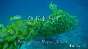 Ocean*