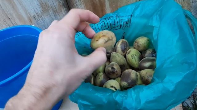 Прогулка по городу, поездка на дачу. Ижевск 30 сентября 2022 г. смотреть онлайн