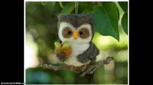 Сова Сухое Валяние