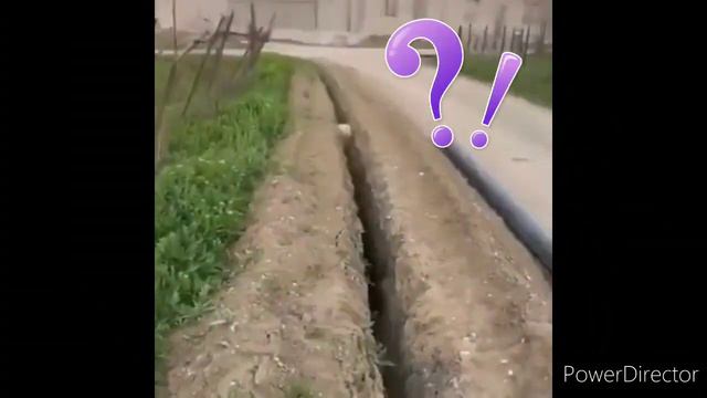 Все мои волки делают ауф!! смотреть онлайн