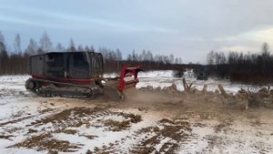 Работа мульчера Ahwi Raptor300 по утилизации корней. 89051099595