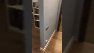 студия 28м2