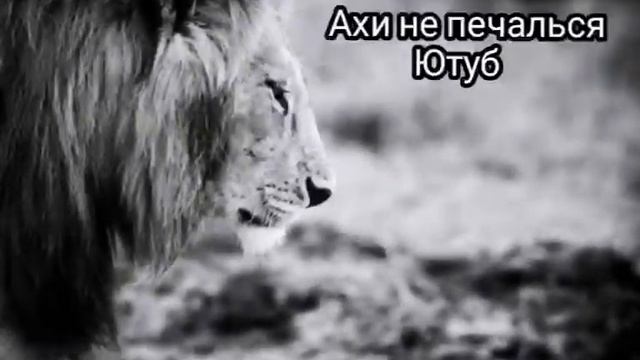 Санахуду Дуня смотреть онлайн