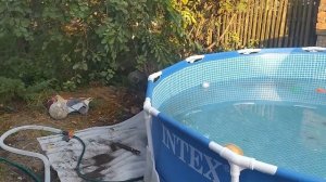 Как быстро слить воду с каркасного бассейна INTEX