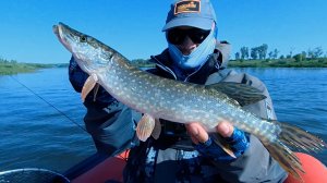 Река Ока. Ультралайт. Рыбалка 2023. Ловля с Лодки. Микроджиг.