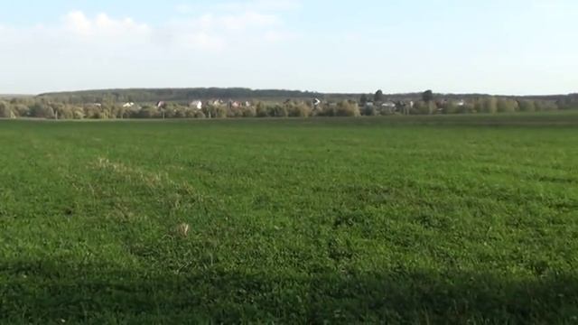 КОП, ГРИБЫ и 500 РУБЛЕЙ / Дневники Кладоискателя смотреть онлайн