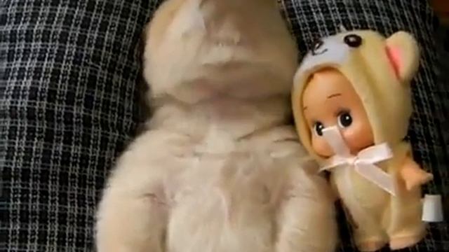 (Спящий щенок разговаривает во сне.mp4 смотреть онлайн