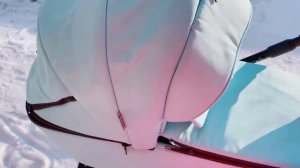 Коляска Adamex Barcelona 2в1 отзыв