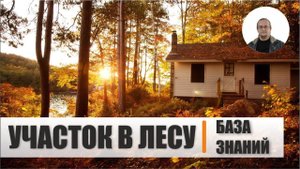 Стоит ли покупать участок в лесу? | База знаний