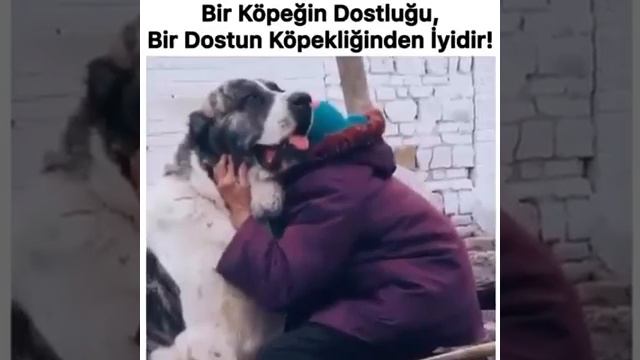 9 февраля 2021 г. смотреть онлайн