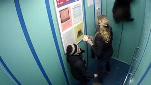 В Петербурге лифт чуть не задушил собаку