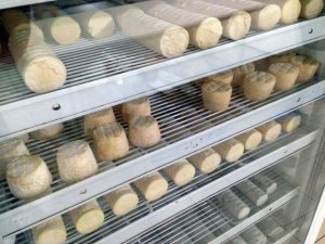 Экскурсия в цех по производству сыров при ферме Шервет.