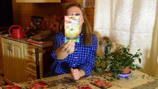 Бомбические томаты от Аэлиты!