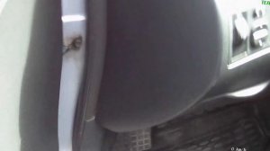 Камера заднего вида в toyota corolla e12
