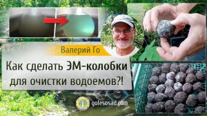 Как сделать ЭМ-колобки для очистки водоемов? (EM-mud balls)