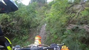 ОСЕННИЕ ПОКАТУШКИ НА KTM 85sx И НА KOSHINE 85