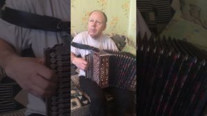 Страдание на Гармошке