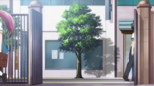 Если бы я только сломал её флаг