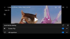 FX Player _ preview