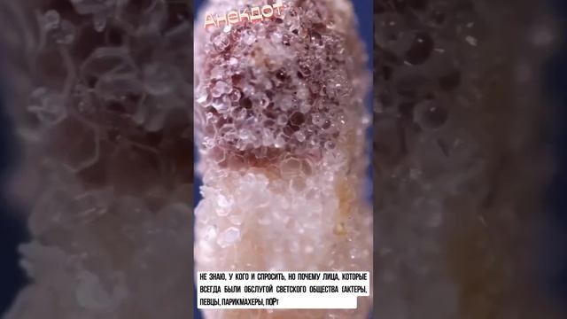 вдруг стали светским обществом #смех #анекдот #шортс #смешно #прикол #шутки #анекдоты #приколы смотреть онлайн