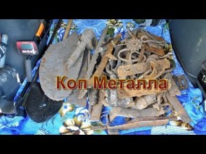 Отличный коп металла - новое место,  нашёл  старое поселение . 1 часть.