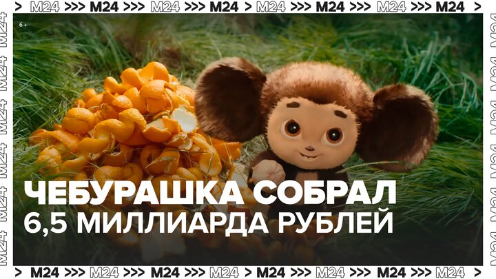 Чебурашка новый. Седая чебурашка. Чебурашка 2022. Новый чебурашка 2022. Чебурашка современный.