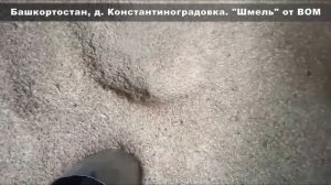 Видеотзыв зернодробилка "Шмель" от ВОМ.