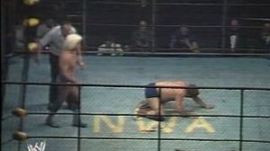 [#My1] Матч года WON 1983 - Рик Флер против Харли Рейса