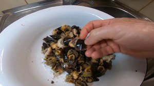 КАК ПРИГОТОВИТЬ МЯСО РАПАНЫ. ГОТОВИМ МОРЕПРОДУКТЫ