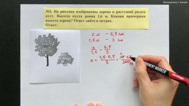 6 класс. Подготовка к ВПР. Задание 5