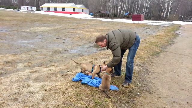 Флаппи + Матильда смотреть онлайн