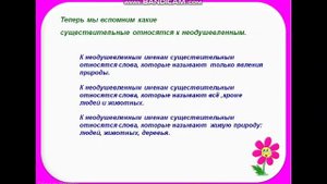 Имя существительное. 3 класс.