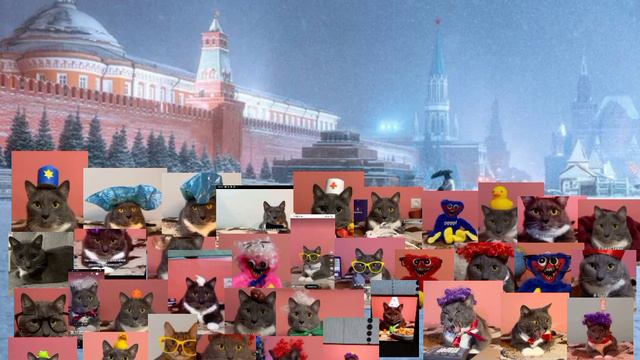 Новый год Котики поют гимн России смотреть онлайн