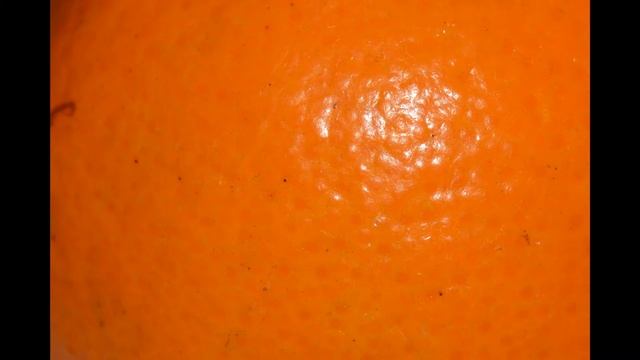 Epic Zoom! Guess The Item! 09.03.2017 Nikon D5300 Review смотреть онлайн