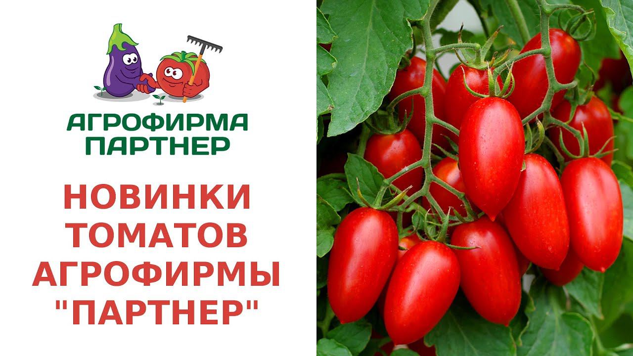 НОВИНКИ ТОМАТОВ АГРОФИРМЫ "ПАРТНЕР"