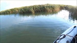 Кармакла! Август! В поисках сазана!