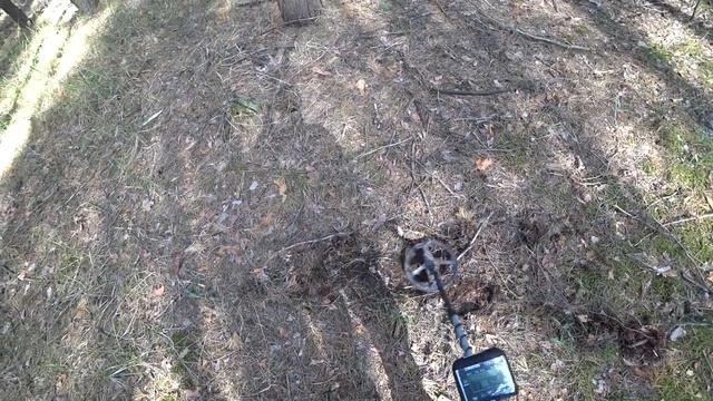 ПАРЕНЬ НАШЕЛ В ЛЕСУ НЕ ПОНЯТНУЮ ШТУКУ НО ,ЧТО ОНО ТАКОЕ?