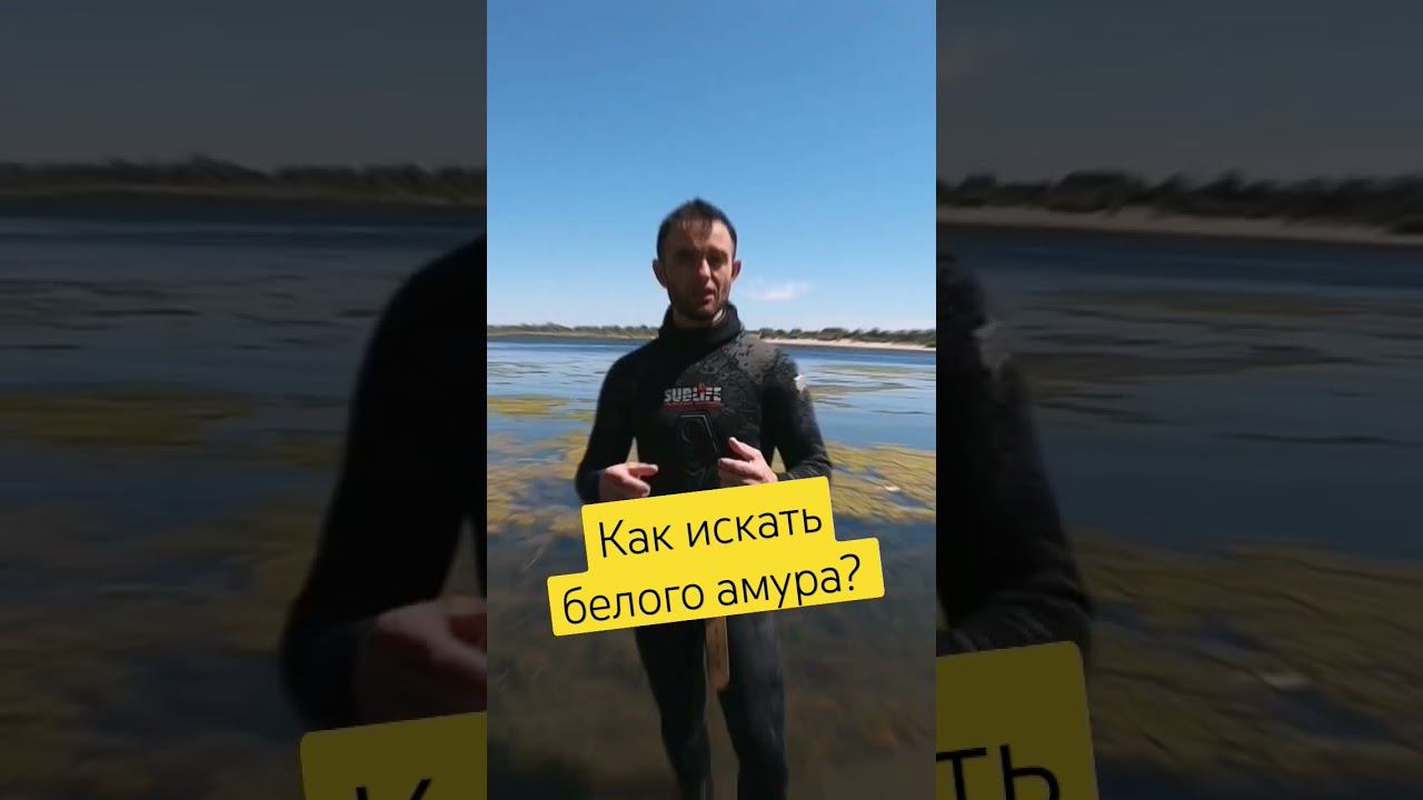 Как искать белого амура? Обучающий фильм... #обучениеподводнойохоте #волгаград