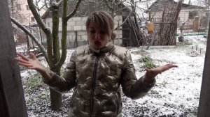 СИРЕНОГОЛОВЫЕ РАЗМНОЖАЮТСЯ у нас дома. Лена выкрала яйца с зародышем. Крейзи лайф