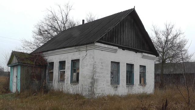 Гомельская область Петриковский район а/г Птичь контрасты